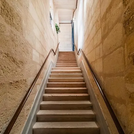 Notre Dame דירה